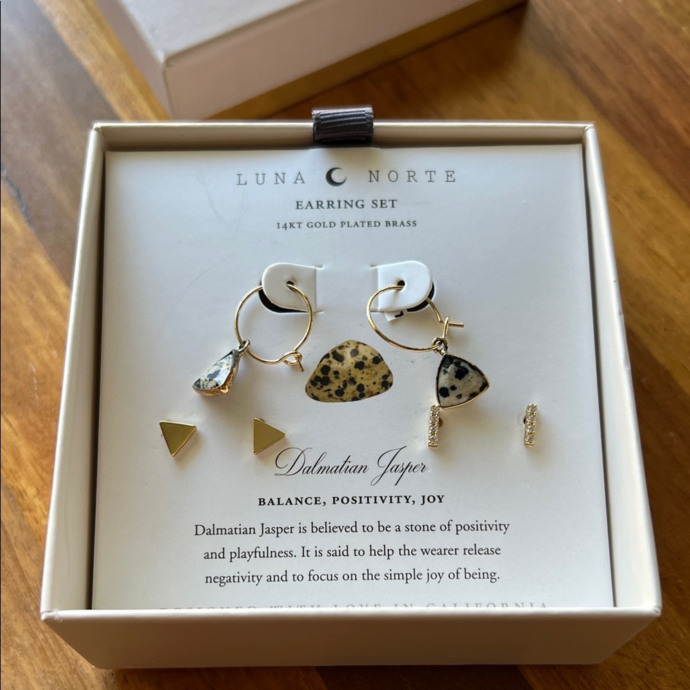 Dalmatian Jasper Gold Plated Earrings Set